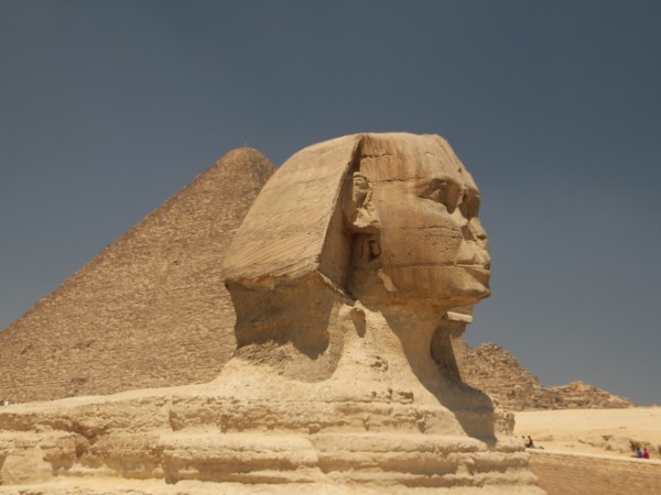 Sphynx
