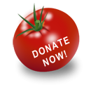 Donate